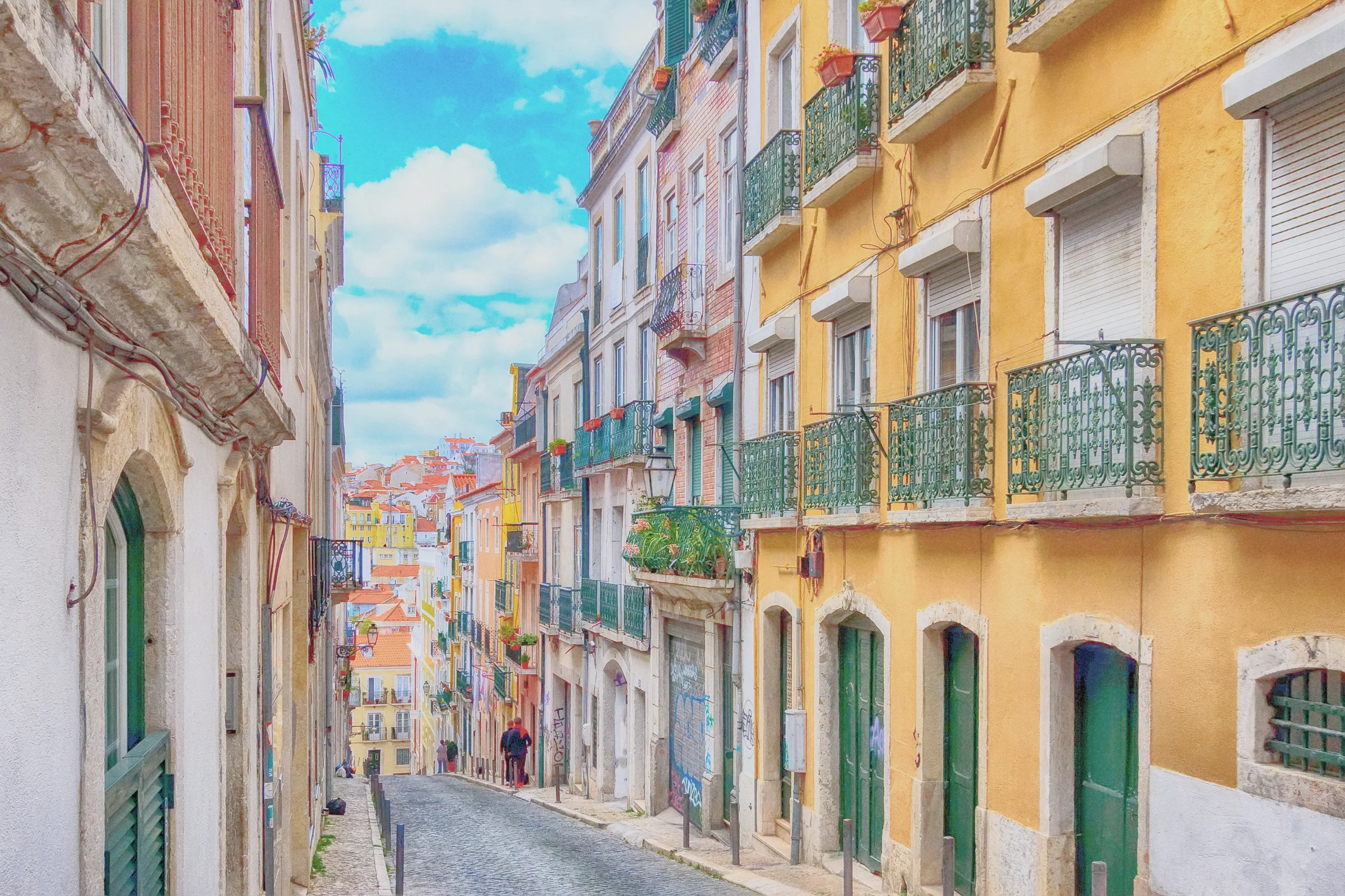 DISCOVERY collection