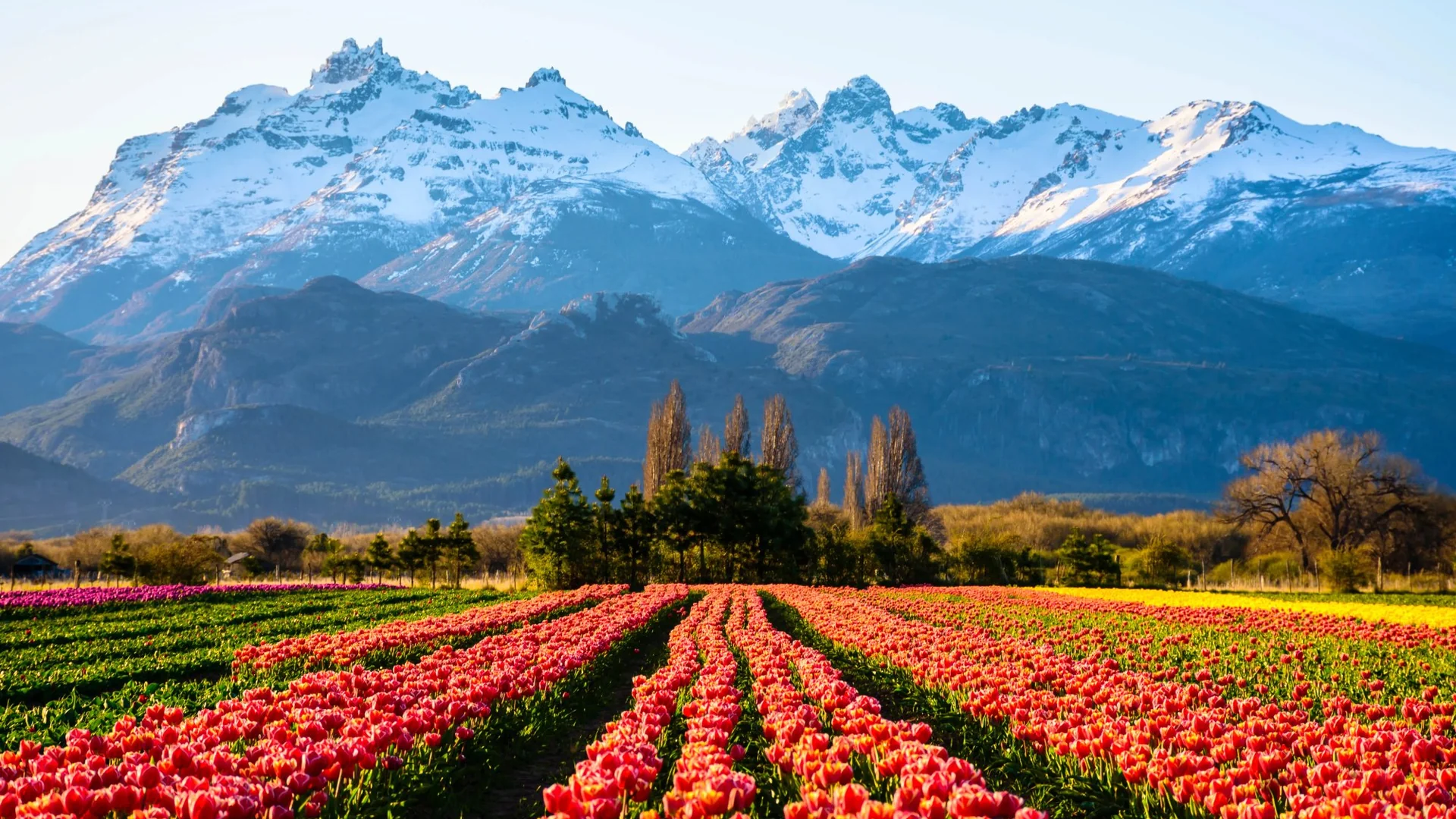 Patagonia, Argentina