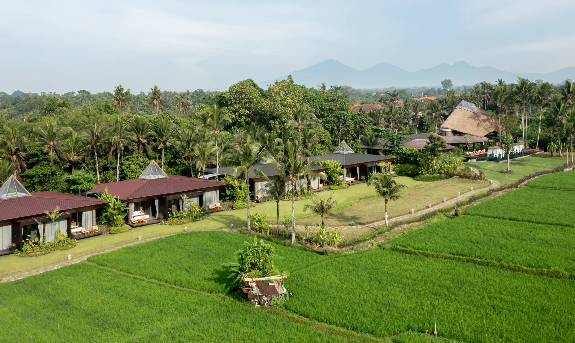 Bali Wellness Immersion