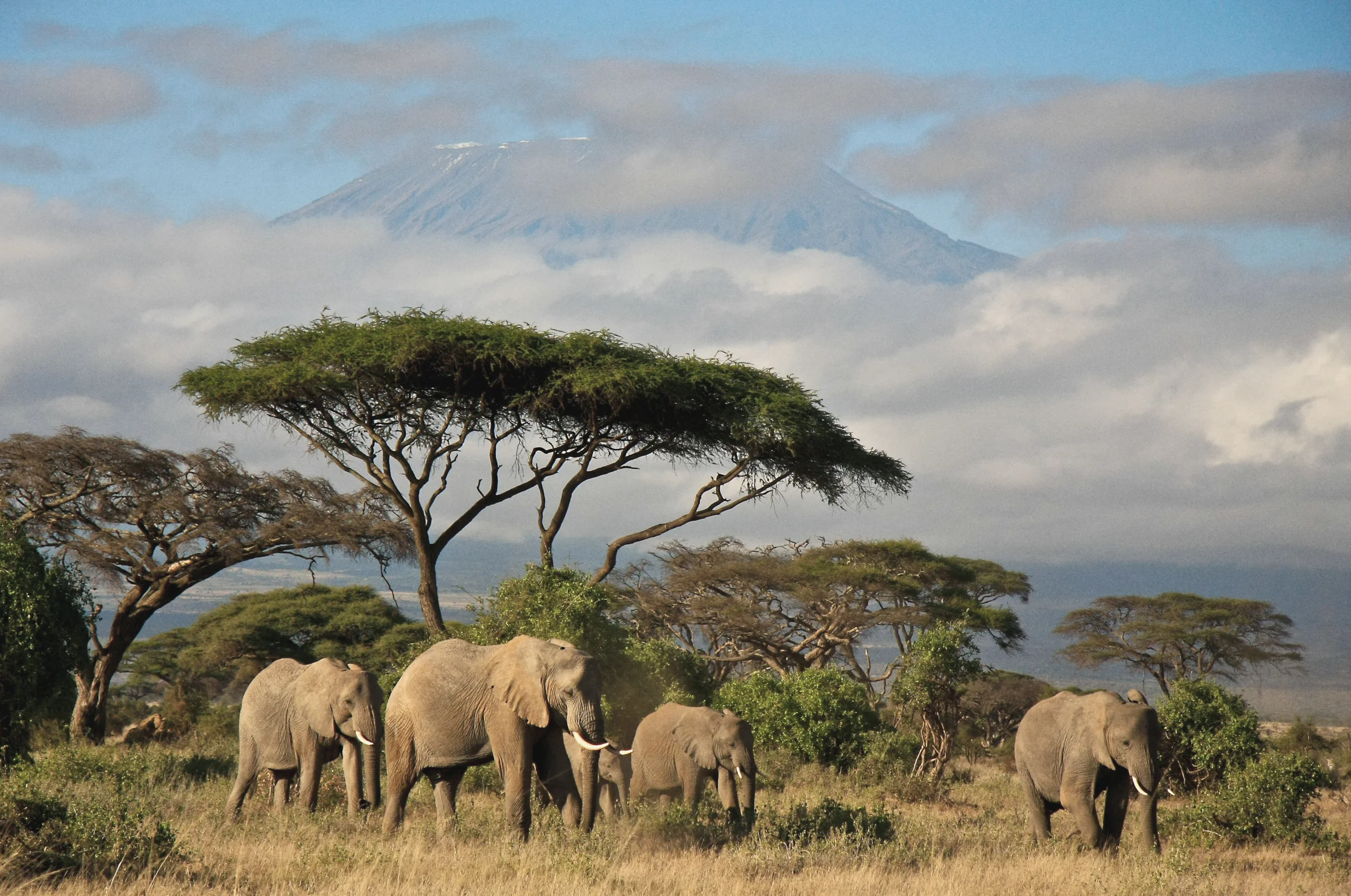 Bachelor & Bachelorette